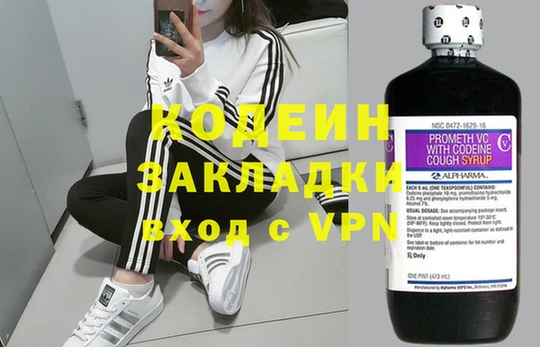дживик Верхний Тагил