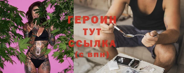 дживик Верхний Тагил